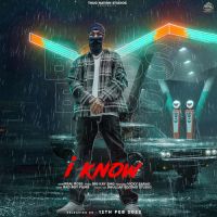 I Know Real Boss Song Download Mp3