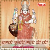 Saatu Behana Shaludo Pehane Ji Bharat Singh Shekhawat,Ramavtar Sharma Song Download Mp3