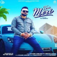 Teri Meri Kulbir Jhinjer,Mehar Vaani Song Download Mp3