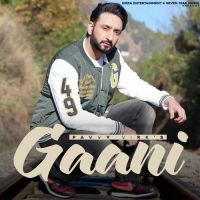 Gaani Pavvy Virk Song Download Mp3
