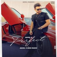 Perfect Akhil Song Download Mp3