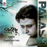 Chokher Taray Palash Song Download Mp3