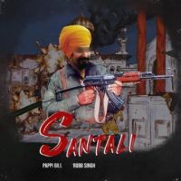 Santali (Operation Blue Star Story) Pappi Gill Song Download Mp3