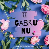 Gabru Nu DJ Harv Song Download Mp3