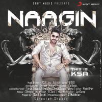 Naagin Karan Singh Arora Song Download Mp3