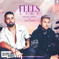 Feels Like Mickey Singh Song Download Mp3