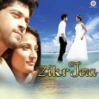 Zikr Tera Momhamad Irfan Song Download Mp3