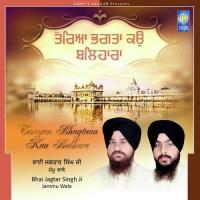 Tudh Jewad Na Saiyaan Bhai Jagtar Singh Ji (Jammu Wale) Song Download Mp3