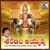 Sharanam Ayyappa songs mp3