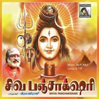 Om Akileshwarare Porti Veeramani Raju Song Download Mp3