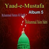 Ya Mustafa Khair Ul Wara Muhammad Hamza Ali Qadri Song Download Mp3