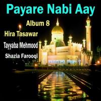 Meeran Waliyon Ke Imam Hira Tasawar Song Download Mp3