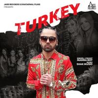 Turkey Manna Boy Song Download Mp3
