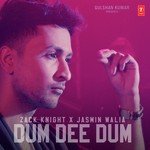 Dum Dee Dum Zack Knight,Jasmin Walia Song Download Mp3