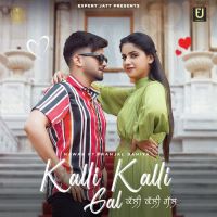 Kalli Kalli Gal Nawab Song Download Mp3