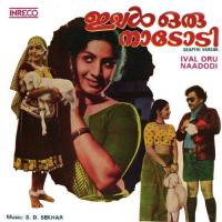 Parannu Parannu Po K.J. Yesudas Song Download Mp3
