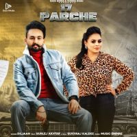 17 Parche Gurlej Akhtar,Diljaan Song Download Mp3