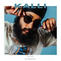 Kalli Fateh Song Download Mp3