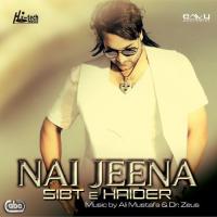 Nai Jeena Sibt E Haider Song Download Mp3