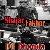 Dil Rhonda Shajar Fakhar Song Download Mp3