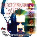 Ministry Of Punjab 2001 songs mp3