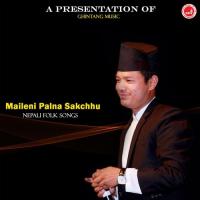 Maileni Palna Sakchhu songs mp3