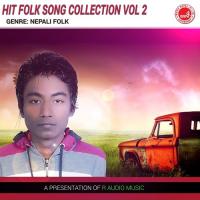 Hit Folk Song Collection Vol 2 songs mp3