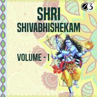 Shiva Namakam Chamakam 01 Ramani Sastri Brothers Song Download Mp3