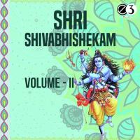 Shri Shivabhishekam Vol 2 songs mp3