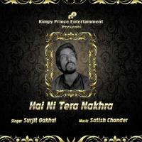 Hai Ni Tera Nakhra songs mp3