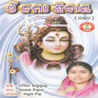 He Bishnu Mohan Namita Agrawal Song Download Mp3
