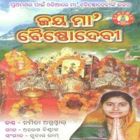 Thik Tori Pari Jhiati Namita Agrawal Song Download Mp3