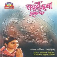 Maa Go Namita Agrawal Song Download Mp3
