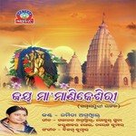 Maa Tor Pade Namita Agrawal Song Download Mp3