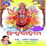 Runu Jhunu Subhe Namita Agrawal Song Download Mp3