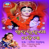 Lo Budhi Mausi Namita Agrawal Song Download Mp3