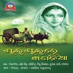Chal Chal Re Sagadia Shakti Mishra Song Download Mp3