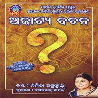 Sudhijane Sthiramane Namita Agrawal Song Download Mp3