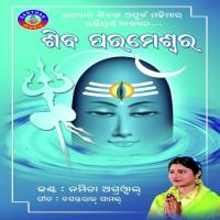Satinku Harai Shiba Namita Agrawal Song Download Mp3