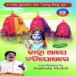 Chhad Chhad Arabinda Muduli Song Download Mp3