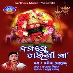 Namaste Tarini Maa songs mp3