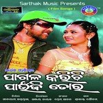 Jie Mote Athaya Udit Narayan,Nibedita Song Download Mp3