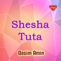 Shesha Tuta songs mp3