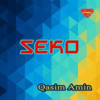Dil Ganuke Qasim Amin Song Download Mp3