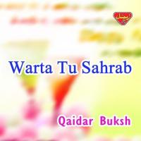 Warta Tu Sahrab Qaidar Buksh Song Download Mp3