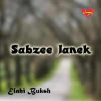 Sabzee Janek songs mp3