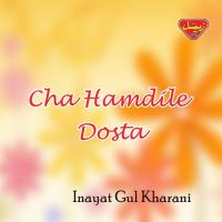 Cha Hamdile Dosta songs mp3