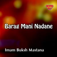 Barag Mani Nadane songs mp3