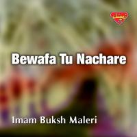 Bewafa Tu Nachare songs mp3