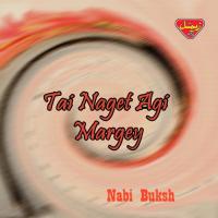 Ishq Mar Tai Nabi Buksh Song Download Mp3